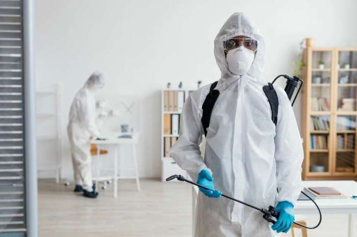 How Regular Home Inspections Protect Dubai Homes from Termites & Pests
