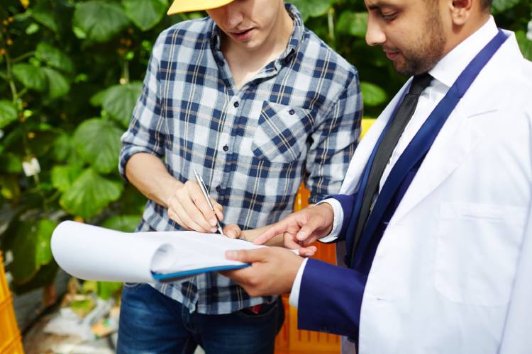 Which Areas of a Property Require the Most Attention During a Snagging Inspection?